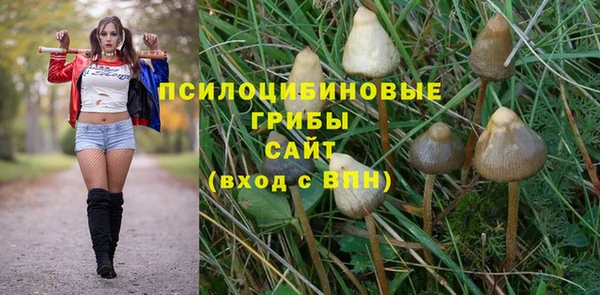 каннабис Алзамай