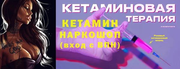 хмурый Алексин