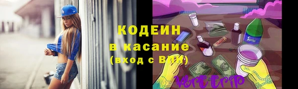 хмурый Алексин