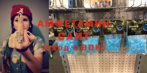 хмурый Алексин