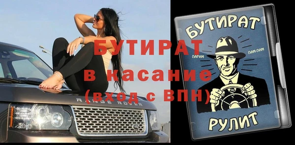 хмурый Алексин