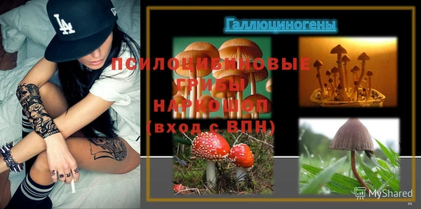 хмурый Алексин